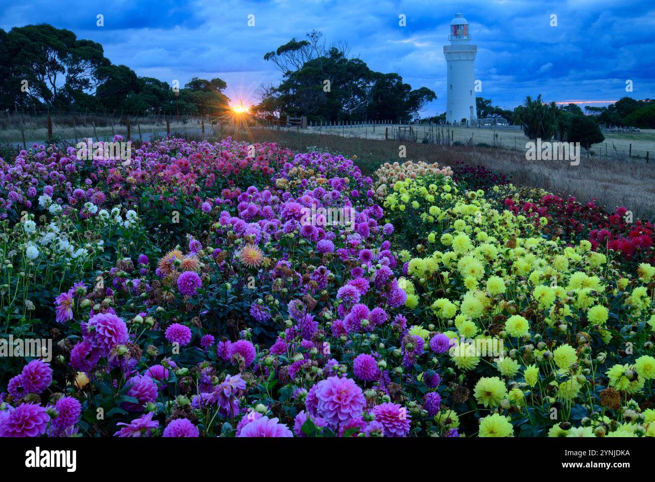 Australien, Tasmanien, Wynyard, Table Cape, Leuchtturm, Stockfoto