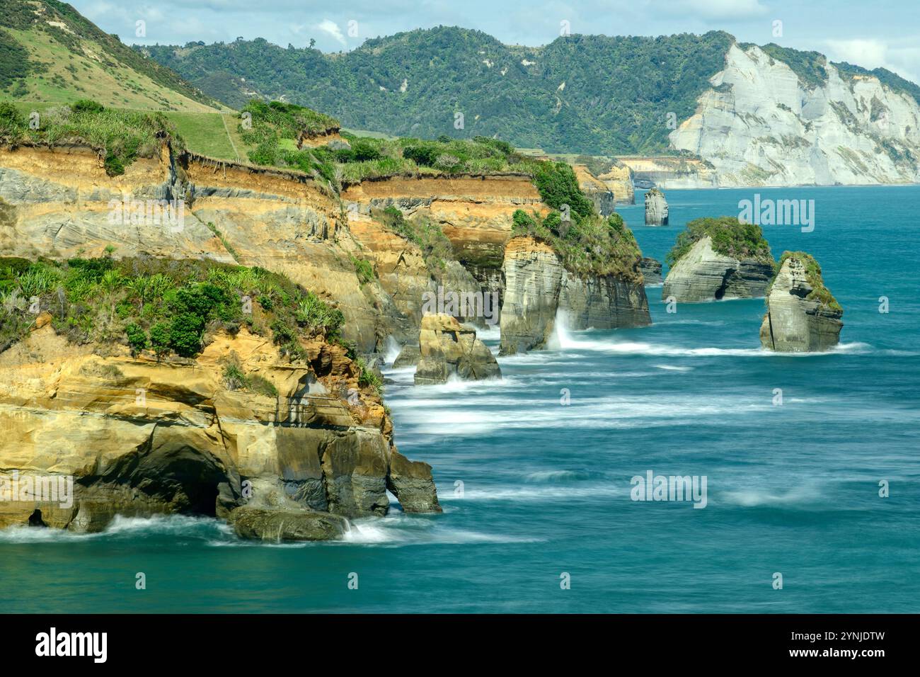 Neuseeland, Nordinsel, Tongapurutu, White Cliffs, Die Drei Schwestern Stockfoto