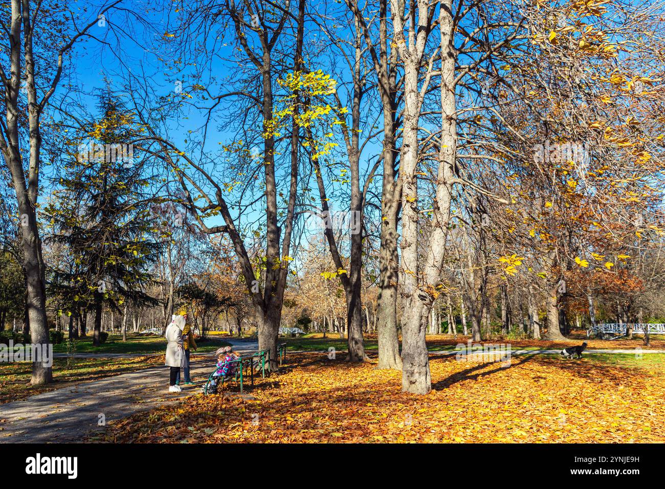 Ein sonniger Herbsttag im Stadtpark von Skopje Stockfoto