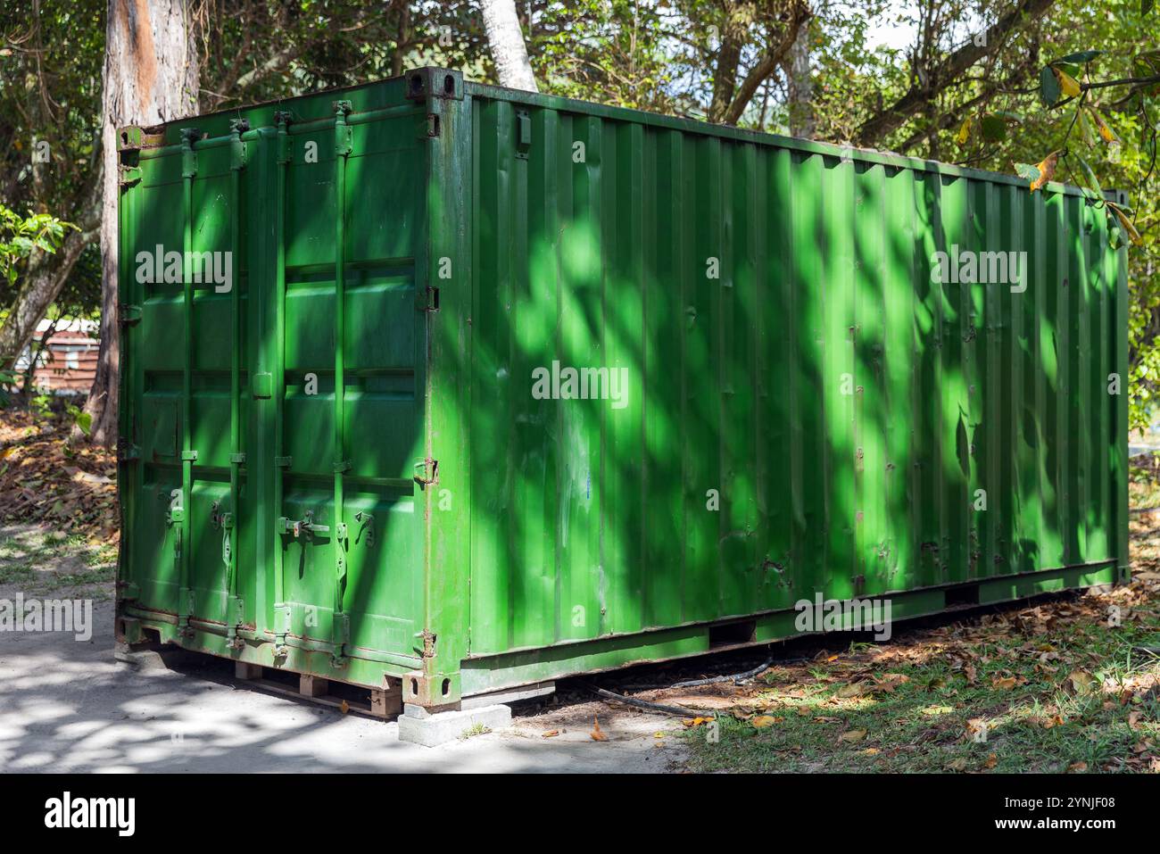 Grüner Frachtcontainer steht an einem Sommertag im Schatten von Bäumen, moderne industrielle Schiffsausrüstung Stockfoto