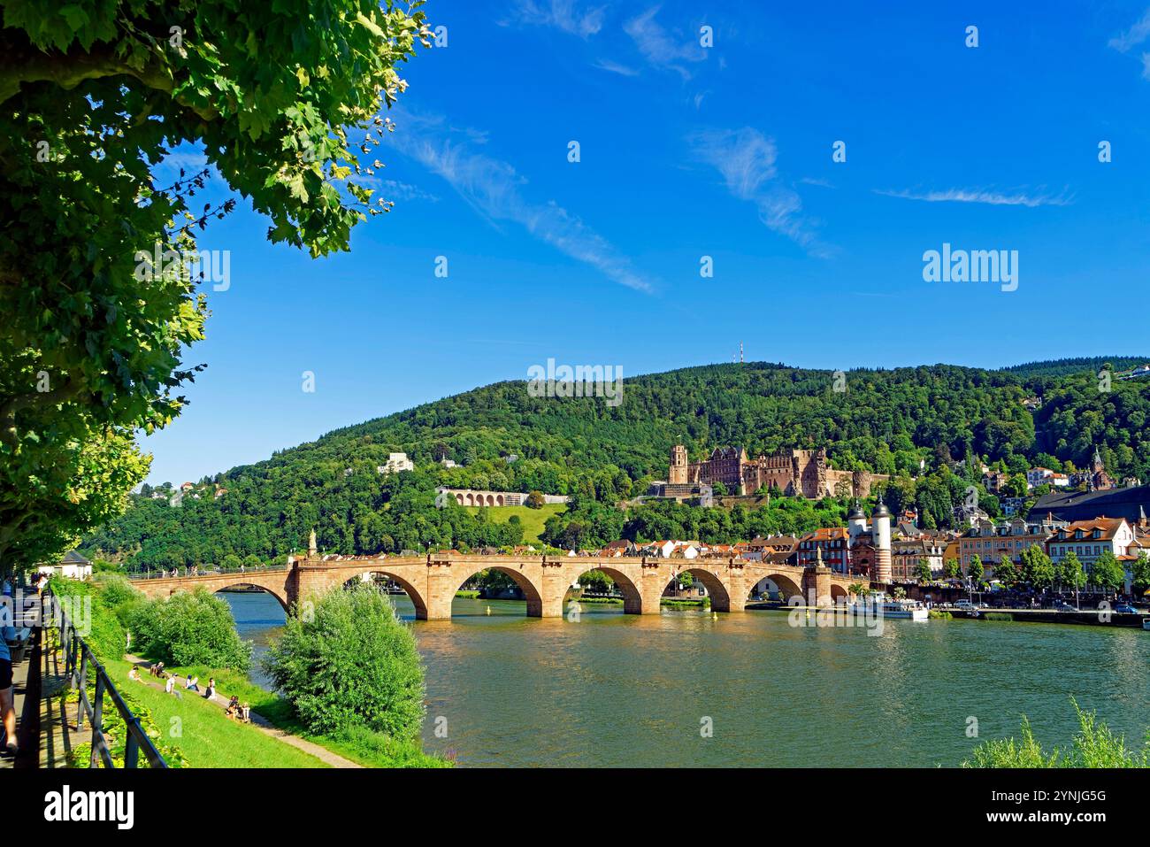 Heidelberg, Fluß, Neckar, Karl-Theodor-Brücke (Alte Brücke), Brückentor, Schloß, Uferpromenade Stockfoto