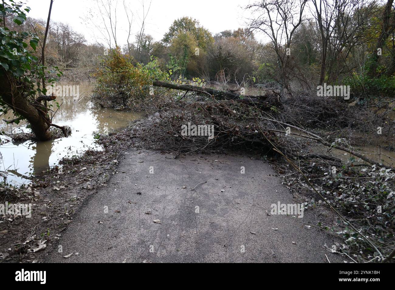 Stover Canal, Newton Abbot, Devon, Großbritannien. November 2024. Wetter in Großbritannien: Sturm Bert folgt der Bahnstrecke, die nach starkem Schnee und Überschwemmungen am Stover Canal, Newton Abbot, Devon, weggespült wird. Der Radweg, der Fußweg und die Bahnstrecke sind bis auf weiteres gesperrt. Credit: Nidpor/Alamy Live News Stockfoto