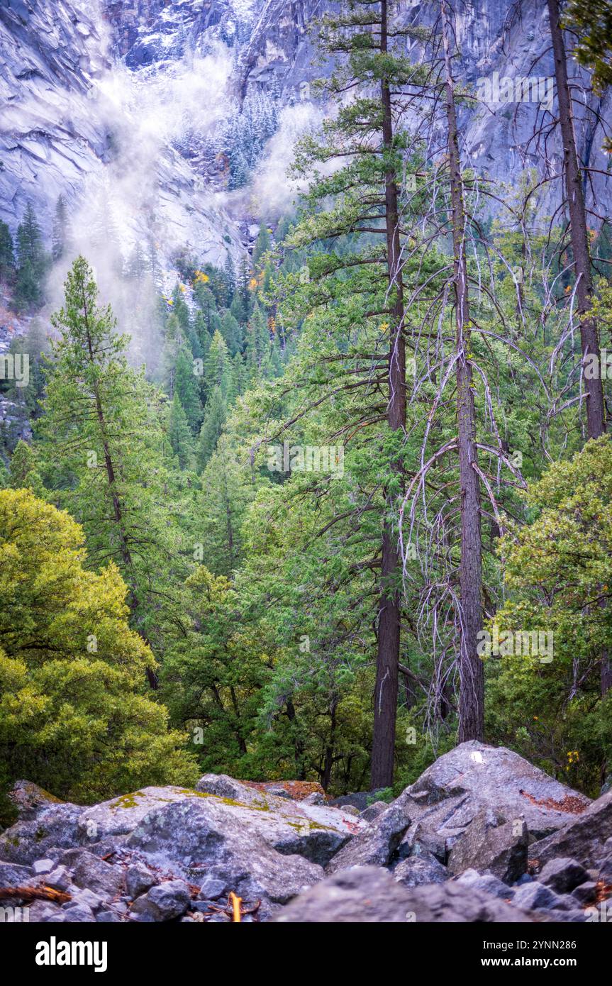 Erkunden Sie die Ruhe der schneebedeckten Ausblicke von Yosemite. Stockfoto