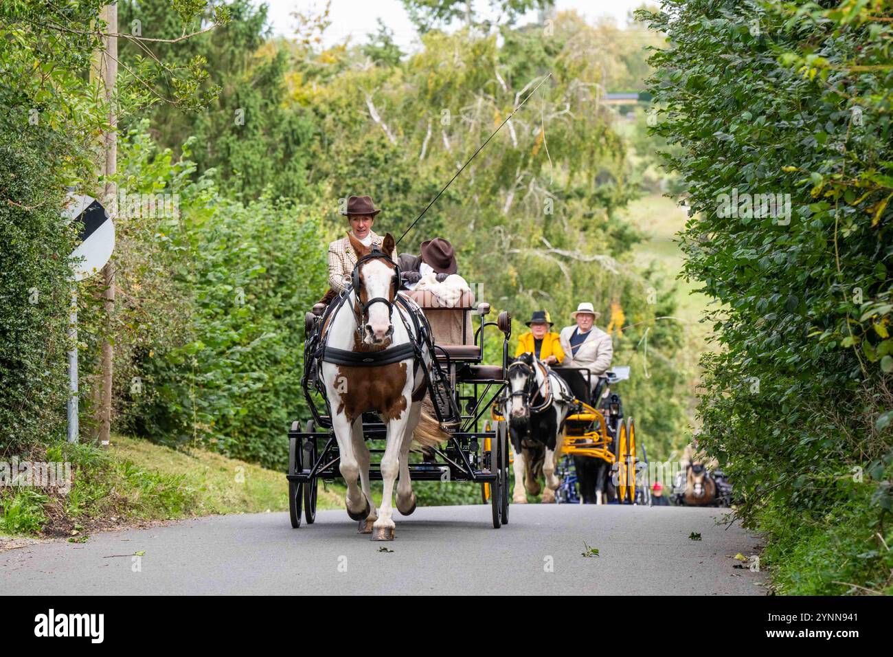 British Driving Society Event in Sarratt, Hertfordshire, verschiedene britische Pferdekutschen im ländlichen Setting Stockfoto