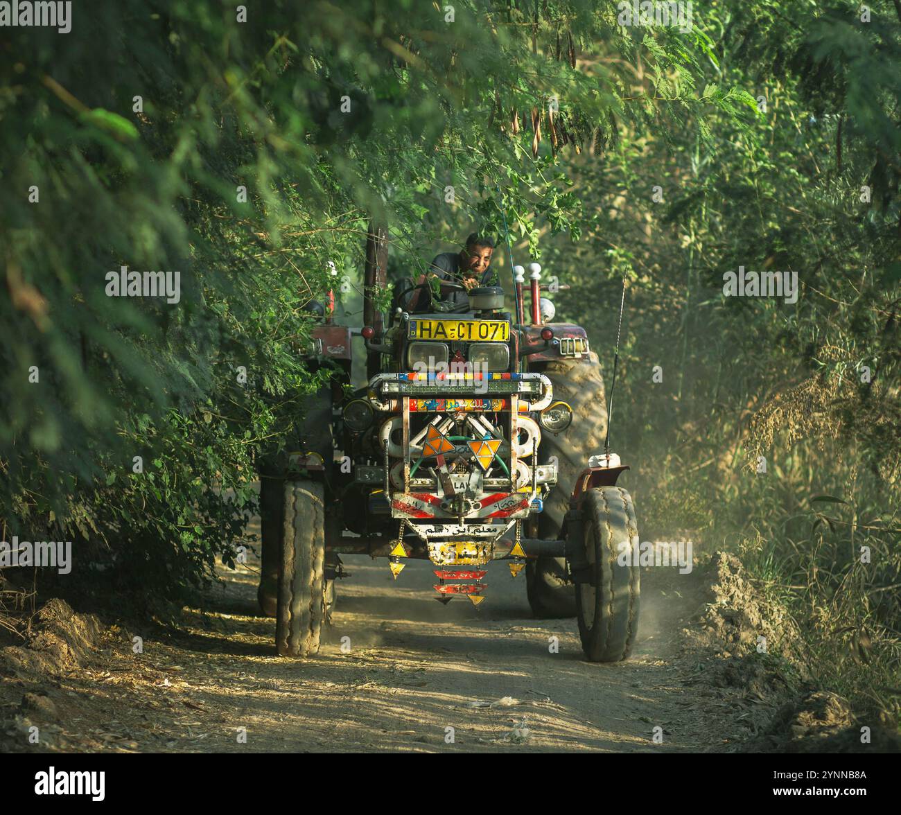 Ein Bauer, der seinen Traktor auf den schmalen Feldern fährt Stockfoto