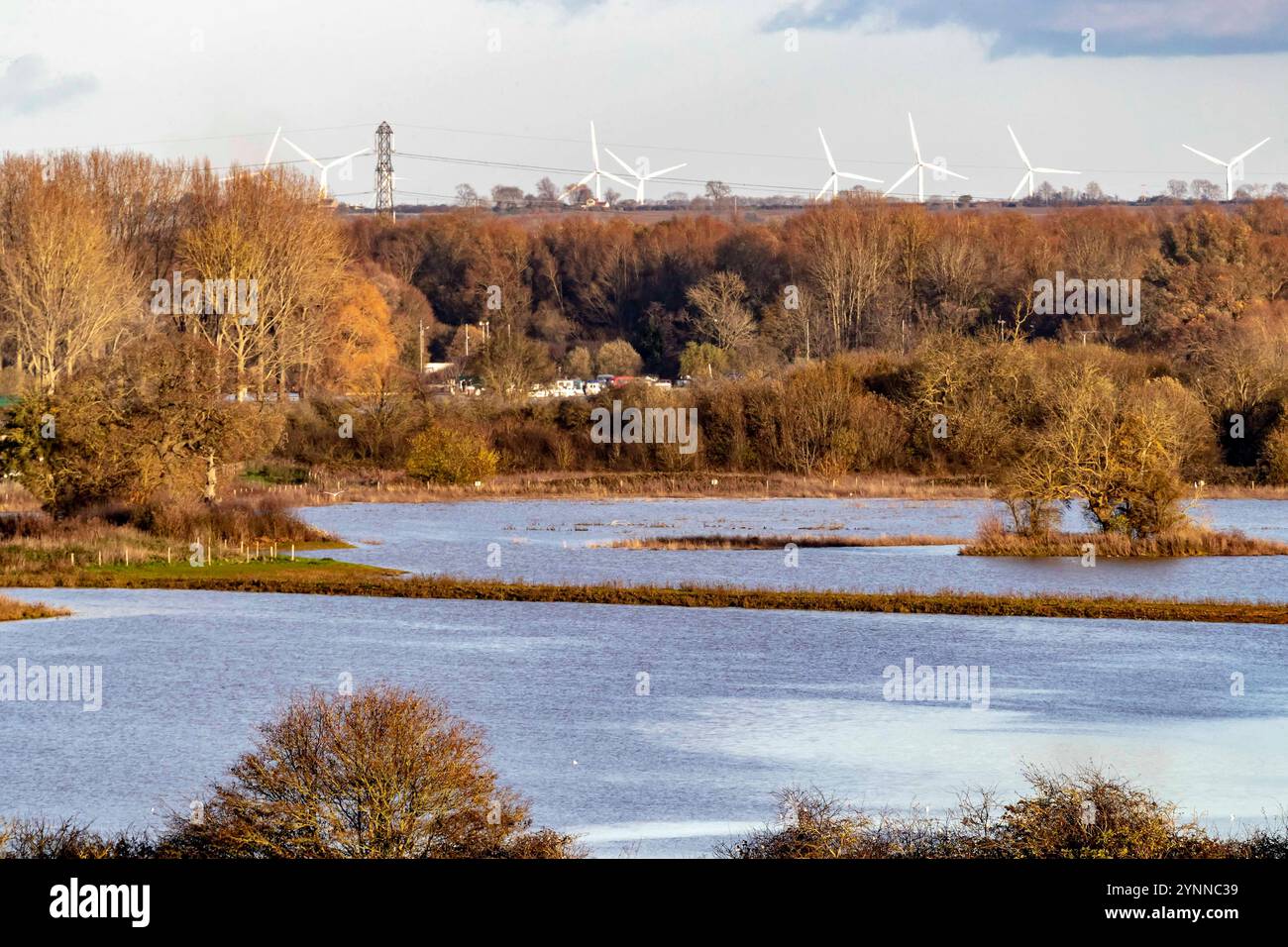 Überschwemmungen entlang des Nene Valley in Northampton, Northamptonshire. Quelle: Keith J Smith./Alamy Live News. Stockfoto