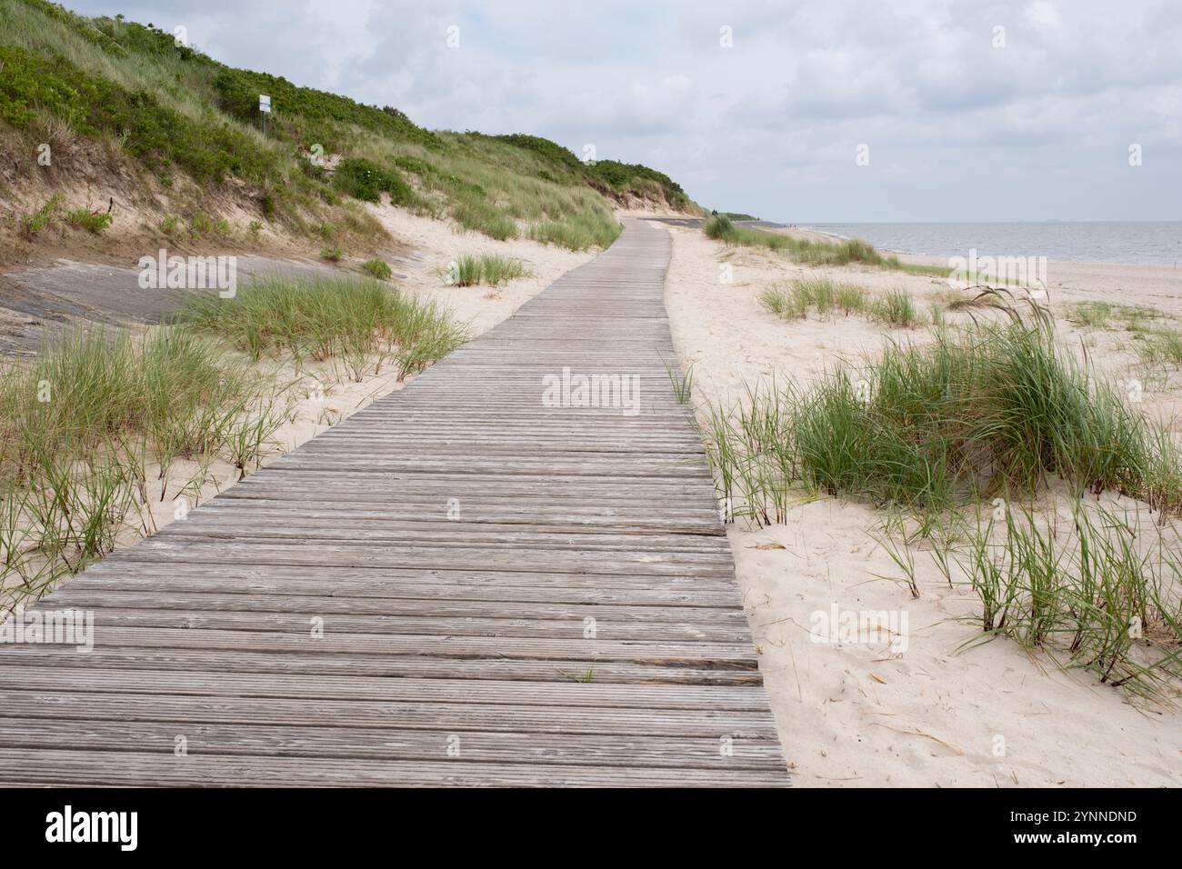 Sandstrand von Nieblum Stockfoto