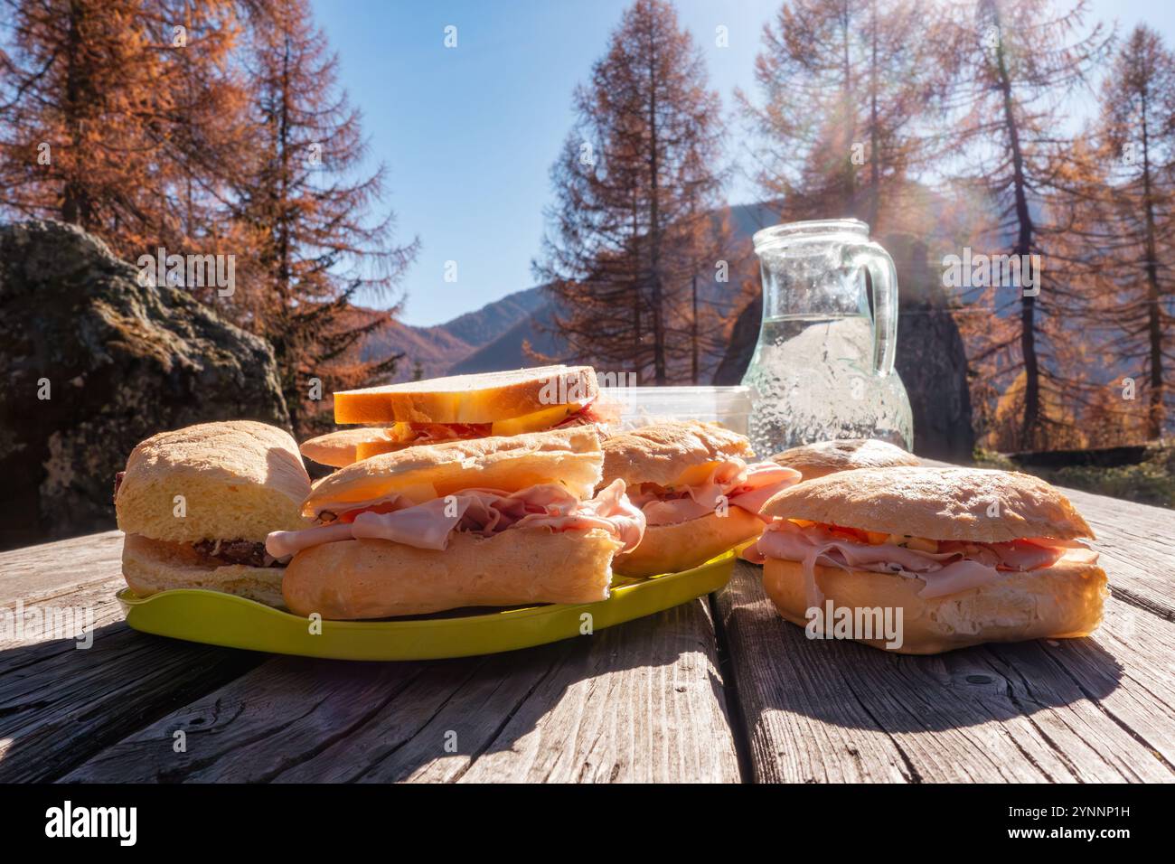 Picknickessen in der Natur. Sandwiches draußen auf einem Holztisch an einem schönen sonnigen Tag Stockfoto