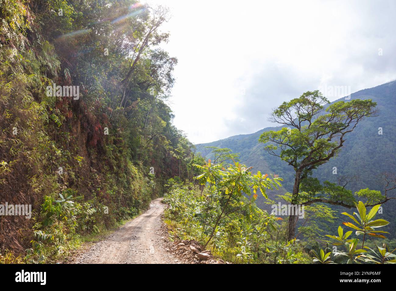 Berühmte Todesstraße, der „Camino de la Muerte“, in den bolivianischen Anden in der Nähe von La Paz Stockfoto