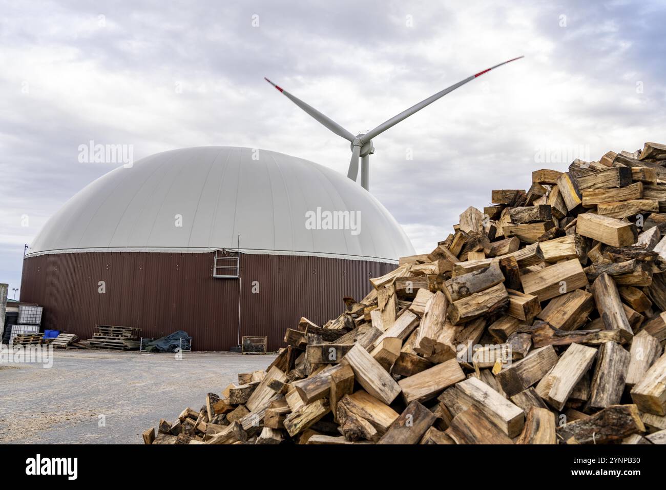 Biogasanlage produziert Gas aus verschiedenen Biomassen, hier der Holzspeicher, der Strom wird in Blockheizkraftwerken mit dem Biogas p erzeugt Stockfoto