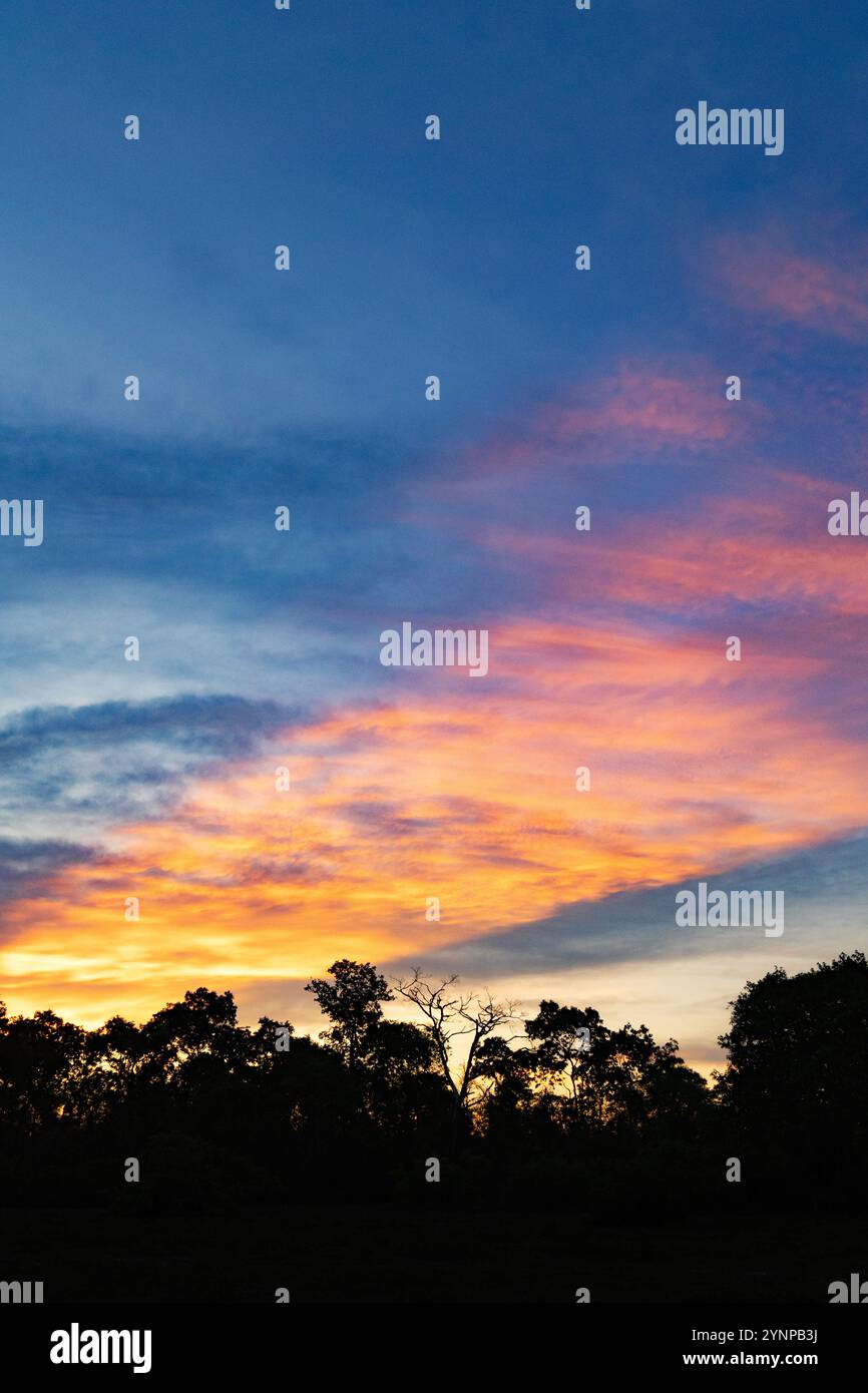 Sonnenuntergang, das Pantanal, Brasilien. Ein Sonnenstrahl bei Einbruch der Dunkelheit macht einen dramatischen Himmel über einer Waldlandschaft, dem Pantanal, Brasilien Südamerika Stockfoto