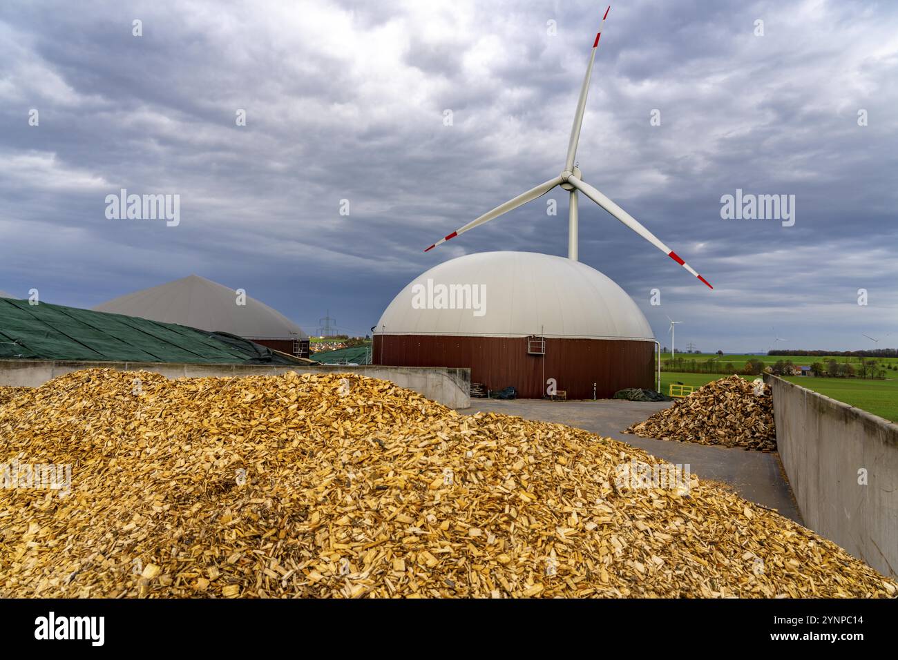 Biogasanlage erzeugt Gas aus verschiedenen Biomassen, hier der Zuckerrübenspeicher, der Strom wird in Blockheizkraftwerken mit dem BI erzeugt Stockfoto
