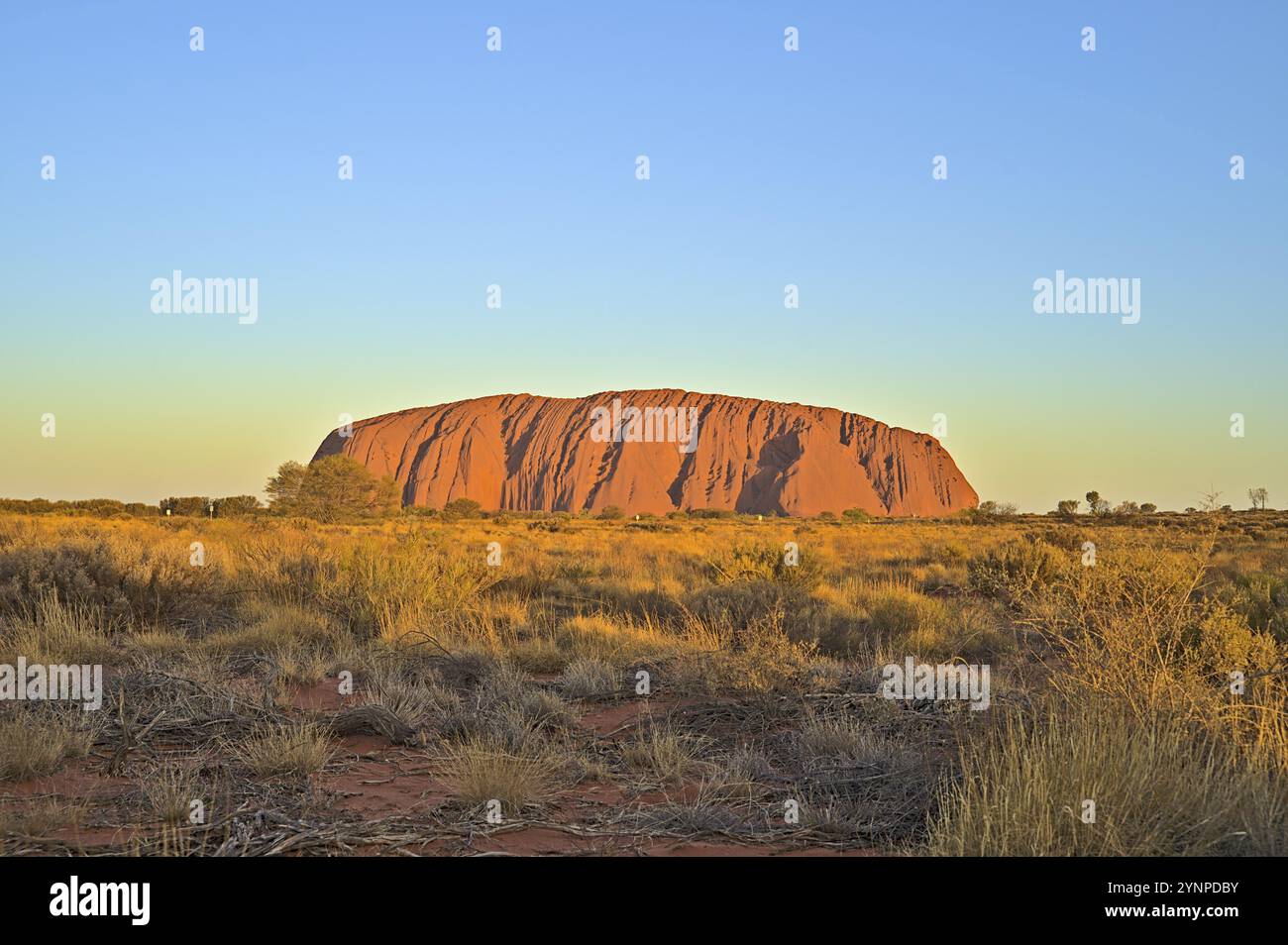 Ayers Rock bzw. Uluru bei Sonnenuntergang. Foto aus dem Jahr 2020 Stockfoto