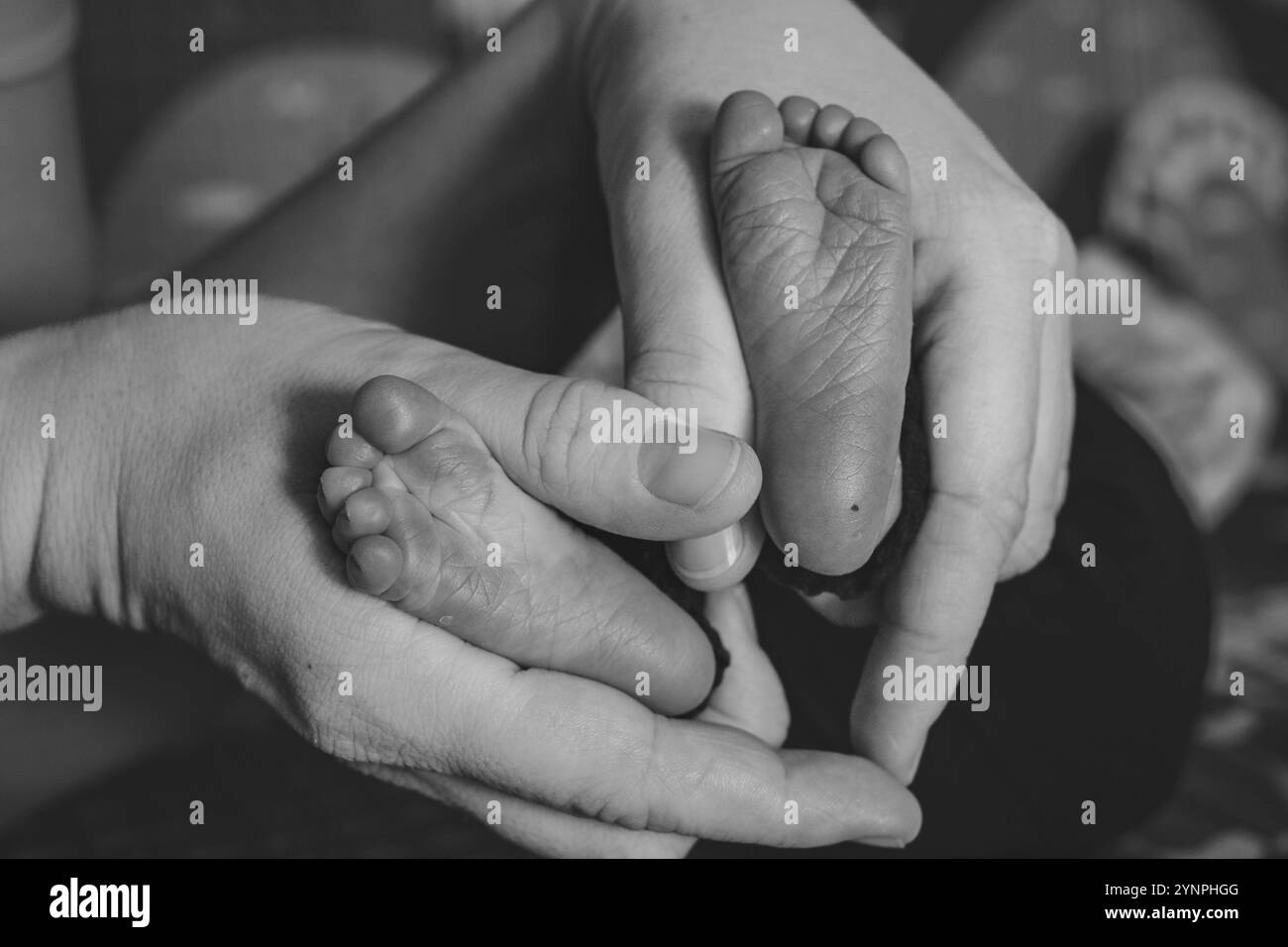 Kinderfuß in den Händen der Mutter. Neugeborenes. Kleine Kinderfüße in weiblichen Händen. Foto zu Hause Stockfoto