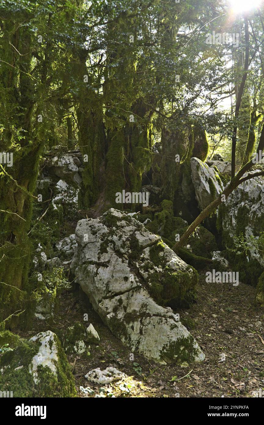 Landschaft entlang des Wanderweges durch den Llogara Nationalpark ganz am Anfang Stockfoto