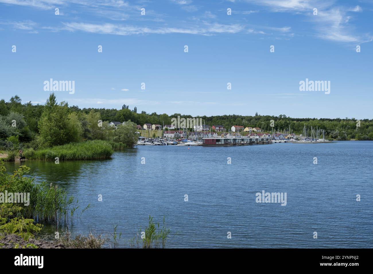 Blick auf den Hafen Geiseltalsee unter blauem Himmel im Sommer Stockfoto