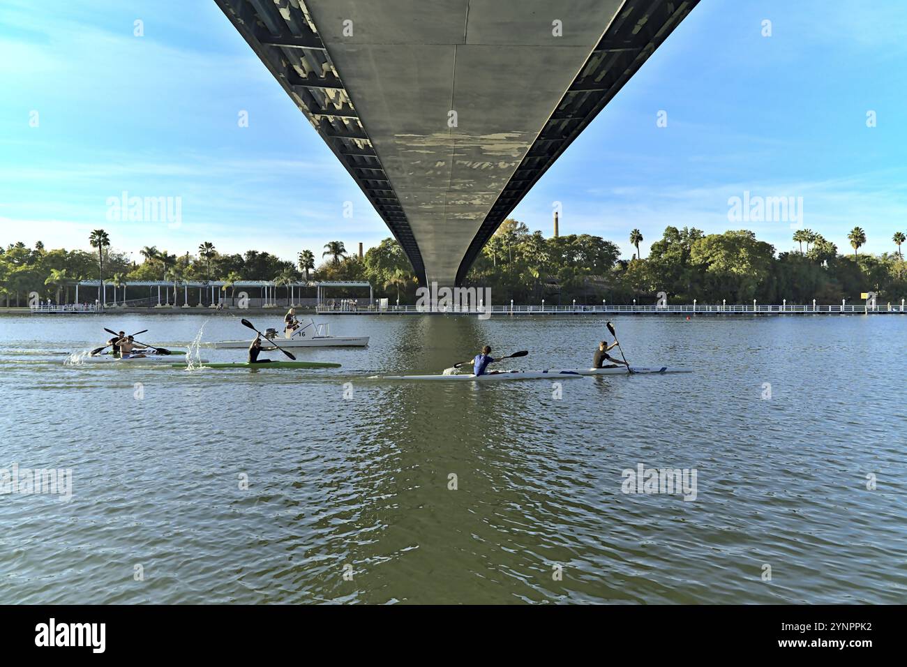 Eine Gruppe Paddler auf dem Fluss Guadalquivir in Sevilla gefolgt von einem motorisierten Boot. Sie führten eine Schulung durch Stockfoto