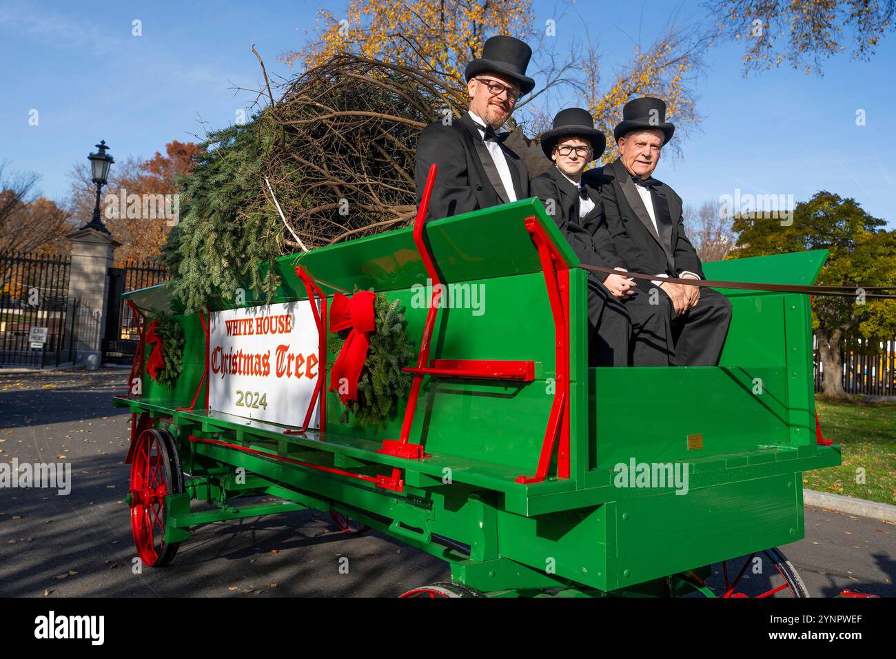 Washington, Usa. November 2024. Der White House Christmas Tree kommt mit einem Pferdewagen während der jährlichen Zeremonie am 25. November 2024 im North Portico of the White House in Washington, DC. Die 20 Fuß lange Frasertanne stammt von Cartner's Christmas Tree Farm in den Bergen von North Carolina. Quelle: Oliver Contreras/White House Photo/Alamy Live News Stockfoto