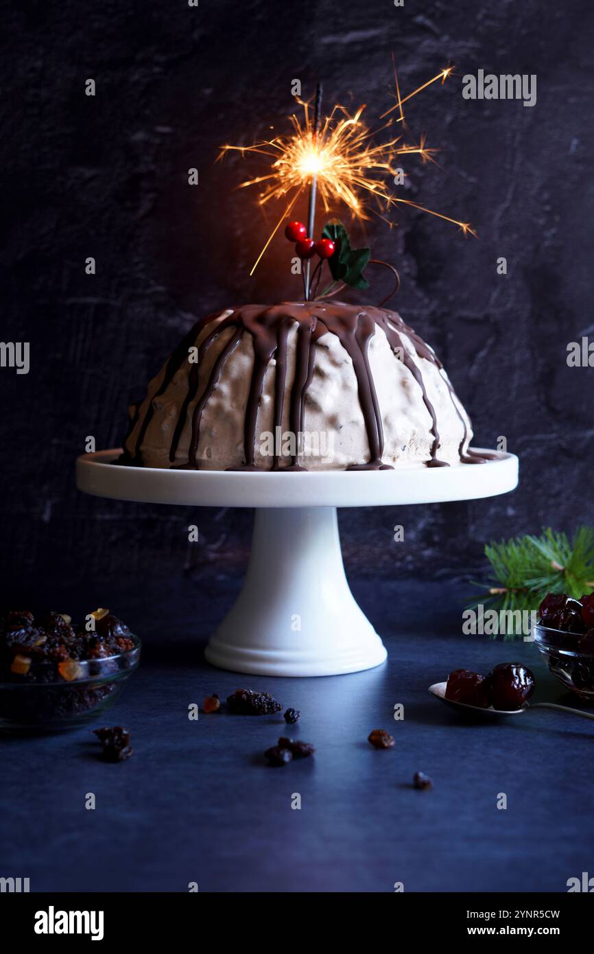 Eiscreme Pflaumenpudding auf dunklem Hintergrund. Stockfoto