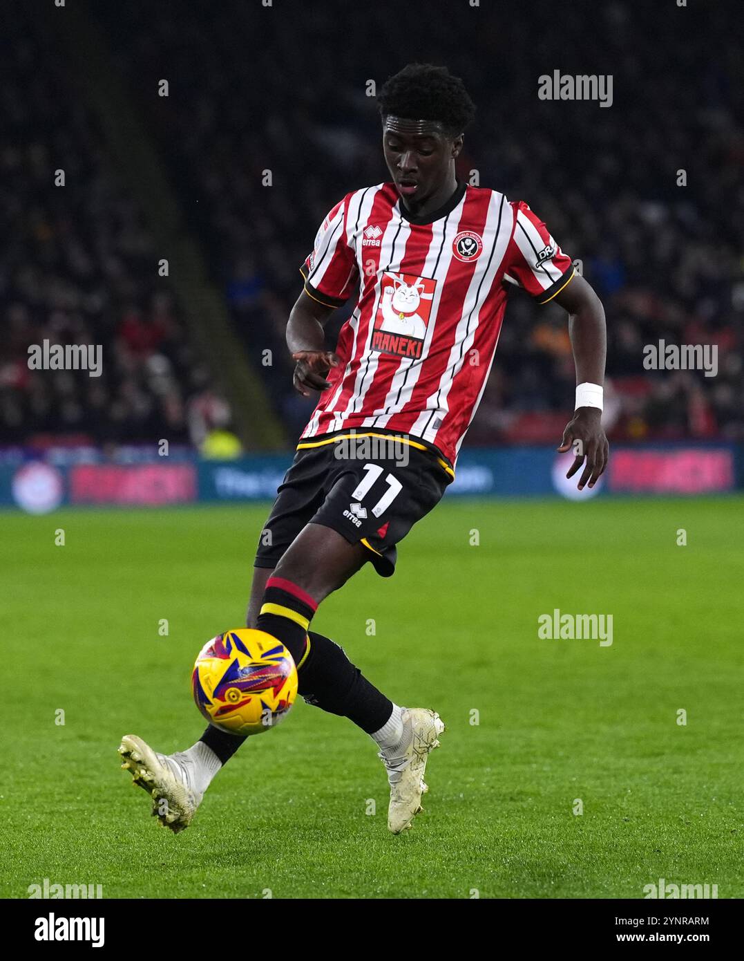 Sheffield United's Jesuran Rak-Sakyi während des Sky Bet Championship Matches in der Bramall Lane, Sheffield. Bilddatum: Dienstag, 26. November 2024. Stockfoto