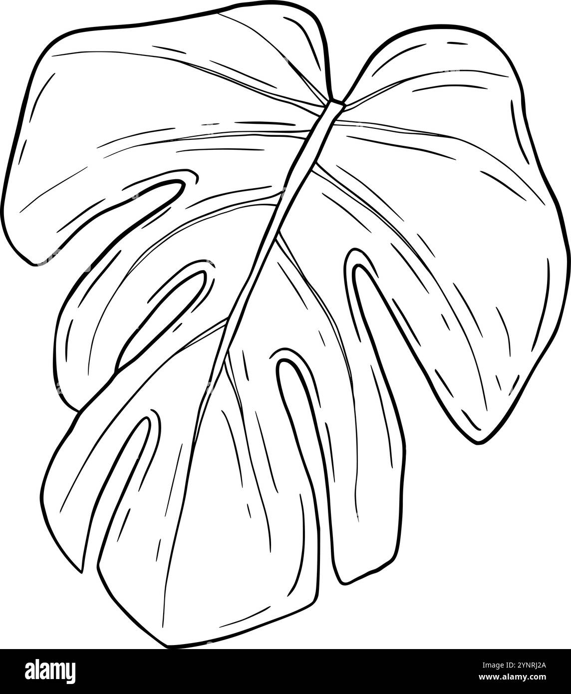 Eine detaillierte Skizze eines Monstera-Blattes, perfekt für botanische Illustrationen und Naturmotive. Handgezeichnete Vektor-Schwarzweiß-Grafiken in Strichgrafik für gedruckte Materialien, Innenräume und vieles mehr. Stock Vektor