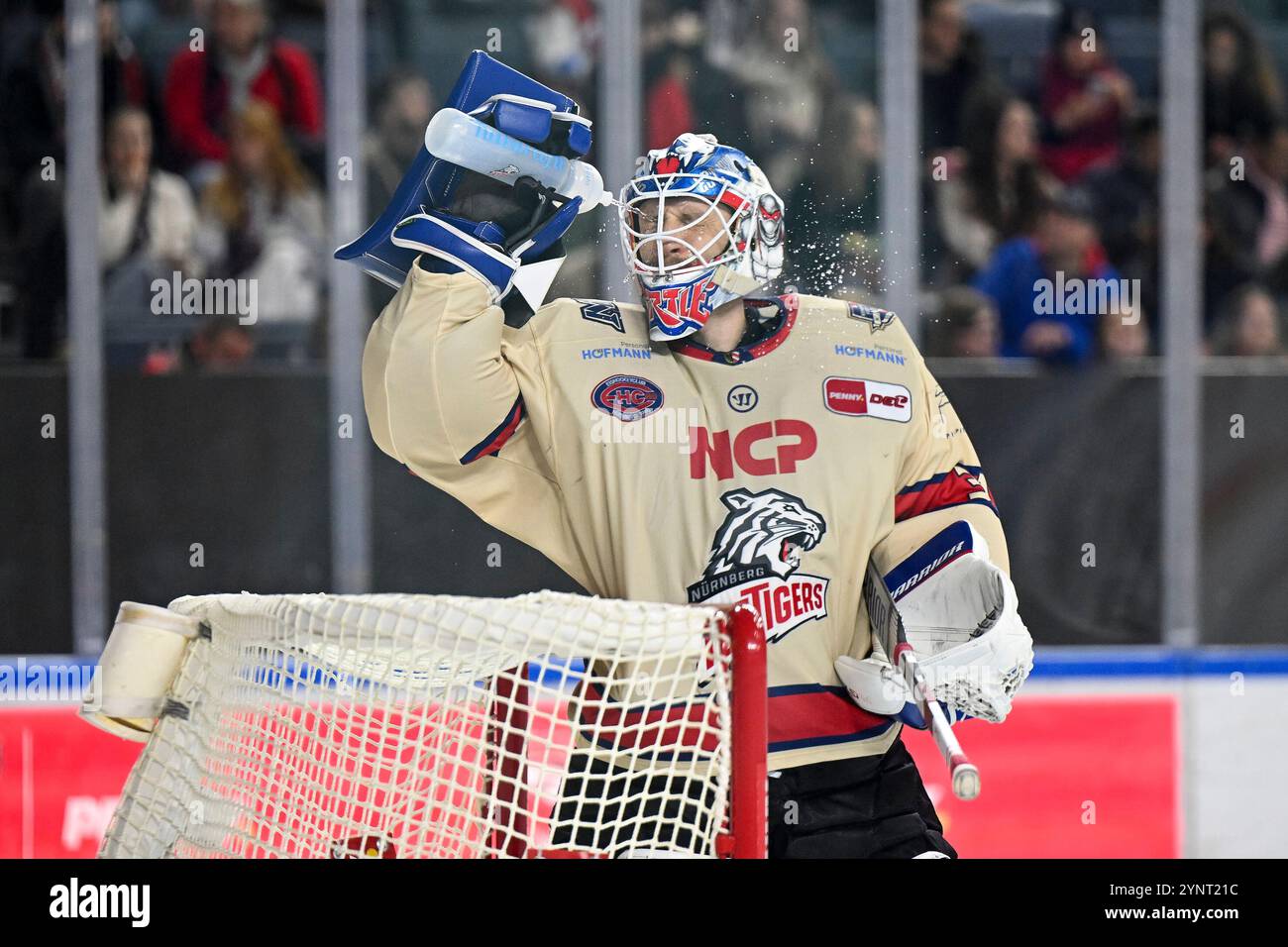 Eishockey DEL - 24/25 - 20. Spieltag: Kölner Haie vs Nürnberg Ice Tigers am 26.11.2024 in der LANXESS Arena in Köln Nürnbergs Torhüter Niklas Treutle ( Nr.31) Foto: Osnapix Stockfoto