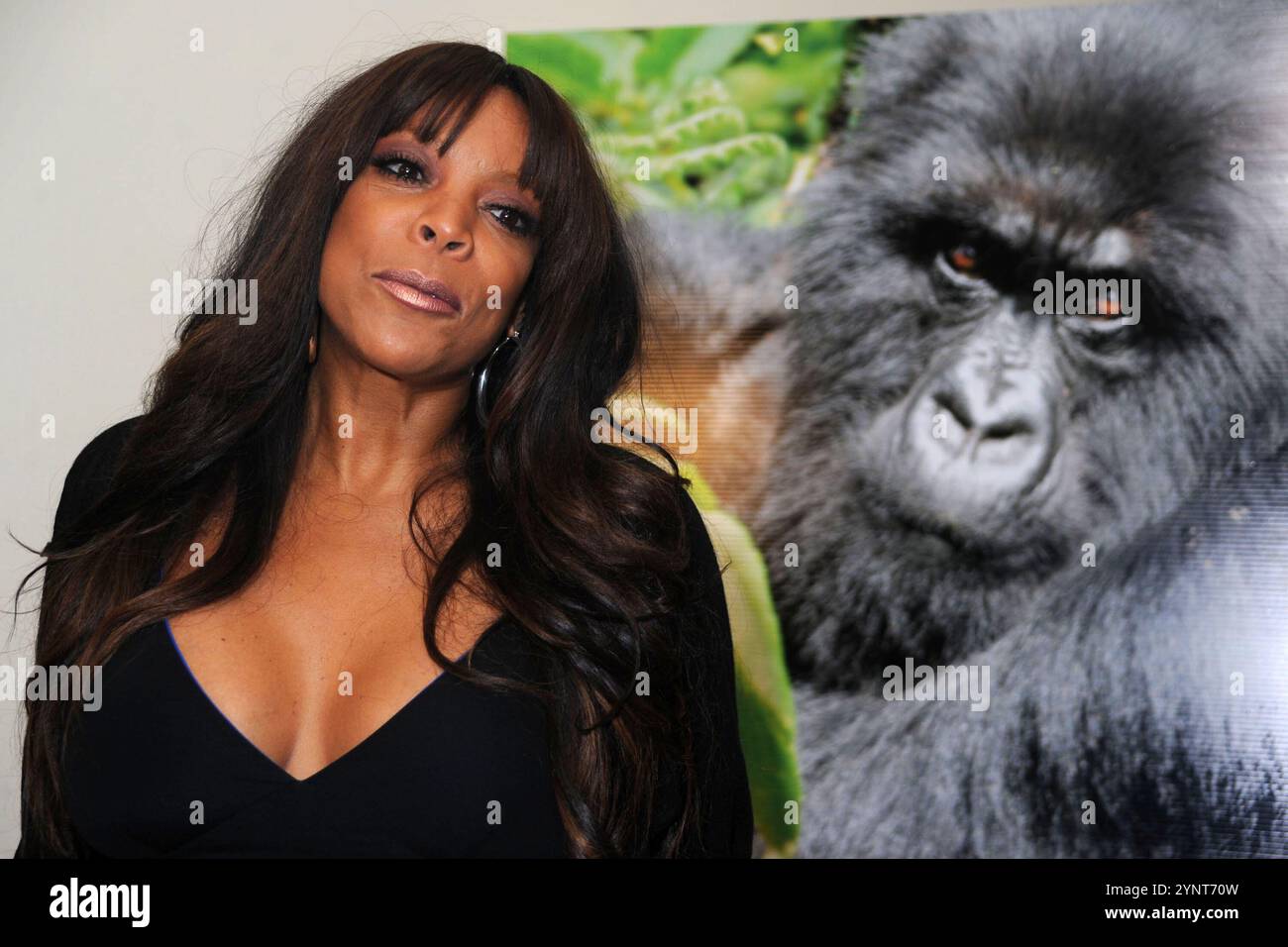 Manhattan, Vereinigte Staaten Von Amerika. Juni 2010. NEW YORK – 09. JUNI: Wendy Williams nimmt am 9. JUNI 2010 am Dave & Buster's Time Square an dem Celebrity Skee Ball Turnier Teil, das dem Dian Fossey Gorilla Fund International zugute kommt Stockfoto