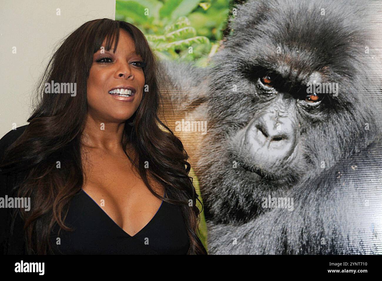 Manhattan, Vereinigte Staaten Von Amerika. Juni 2010. NEW YORK – 09. JUNI: Wendy Williams nimmt am 9. JUNI 2010 am Dave & Buster's Time Square an dem Celebrity Skee Ball Turnier Teil, das dem Dian Fossey Gorilla Fund International zugute kommt Stockfoto