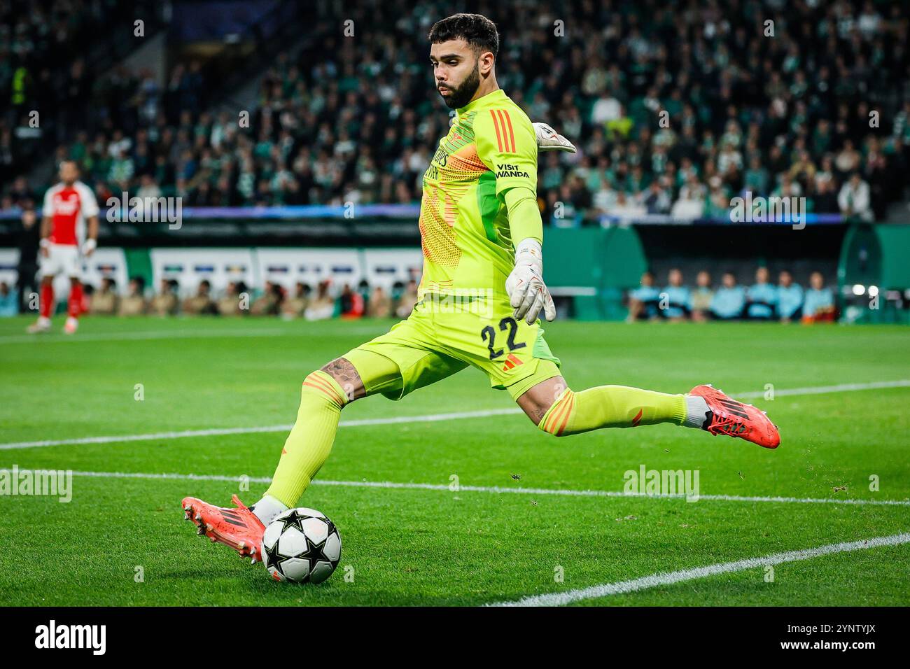 David RAYA von Arsenal während des Fußballspiels der UEFA Champions League, League Phase MD5 zwischen Sporting CP und Arsenal FC am 26. November 2024 im Estadio Jose Alvalade in Lissabon, Portugal Stockfoto