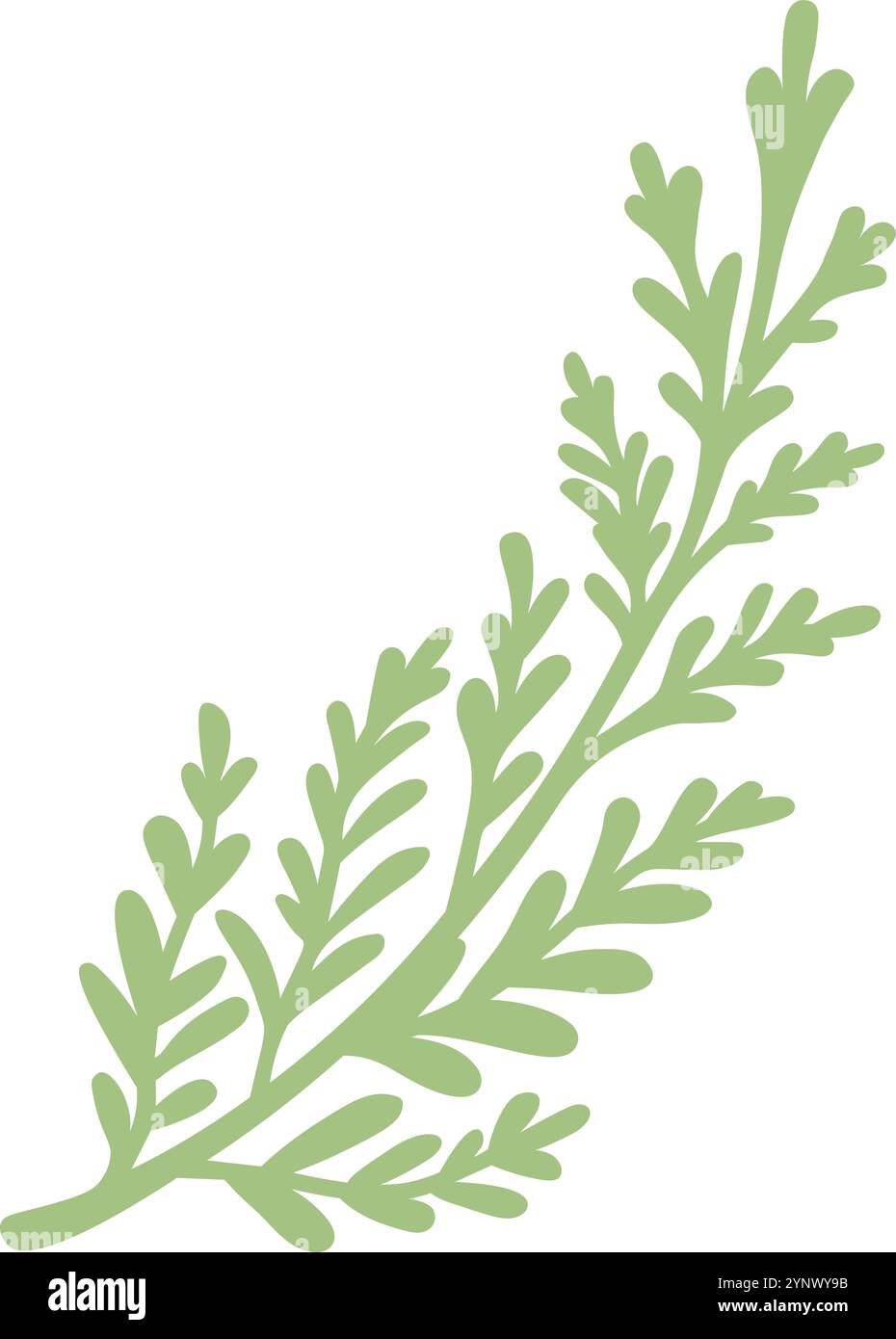 Eine grüne Blattpflanze mit langem Stiel Stock Vektor