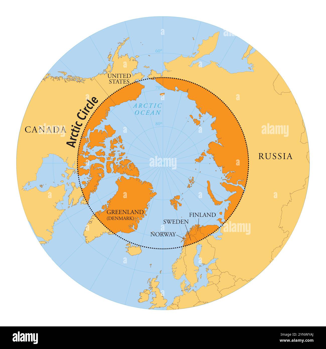 Karte des Polarkreises mit Ländern und Regionen: Geographische Darstellung des Polarnordens Stockfoto