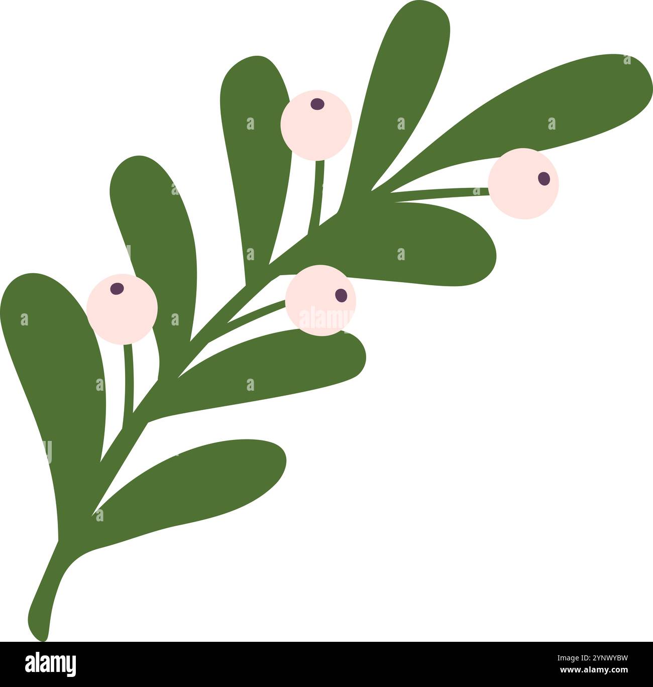 Ein grünes Blatt mit weißen Beeren drauf Stock Vektor