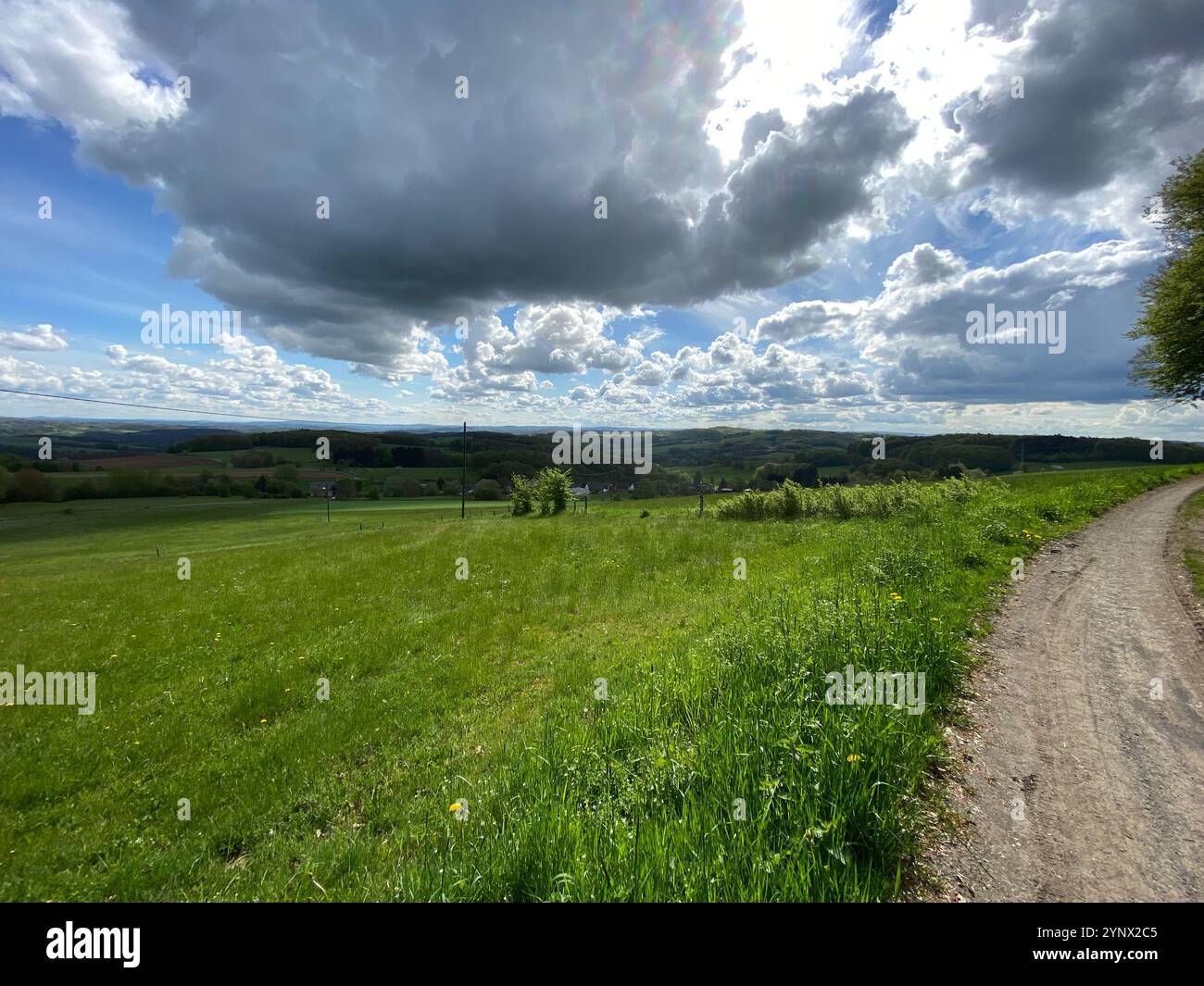 Blick auf eine Wiese bei hellem Sonnenschein mit einem Wald bei Werkhausen im Frühjahr 2021 Stockfoto