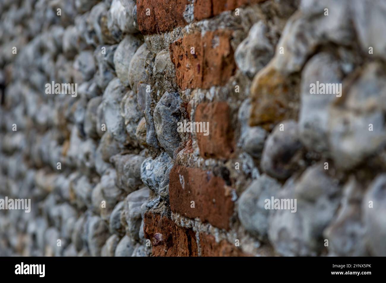 Der Alte Beetley Norfolk Stockfoto