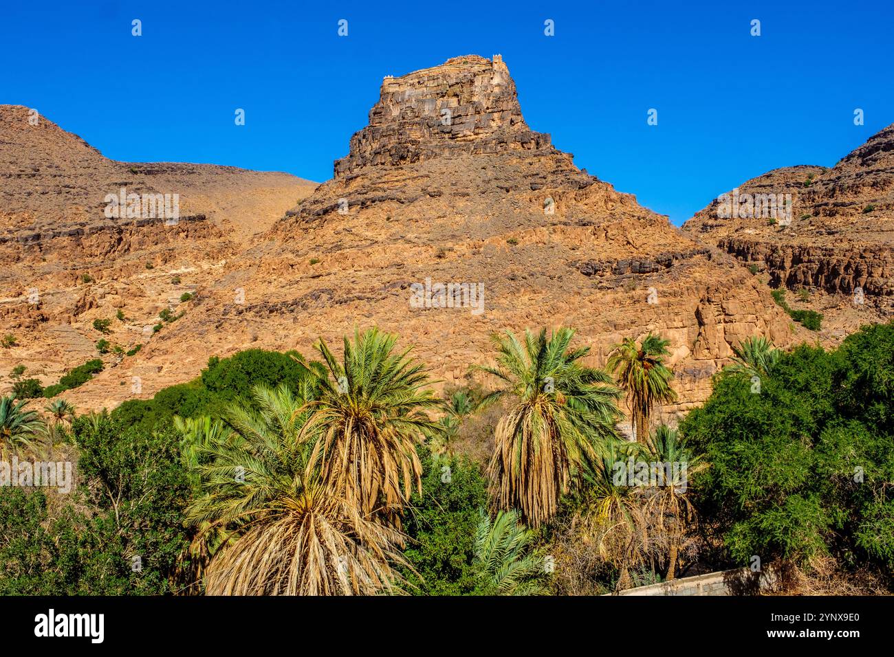 Ein Hügel Agadir ( befestigter Speicher ) in Amtoudi im antiatlas-Gebirge Marokkos Stockfoto