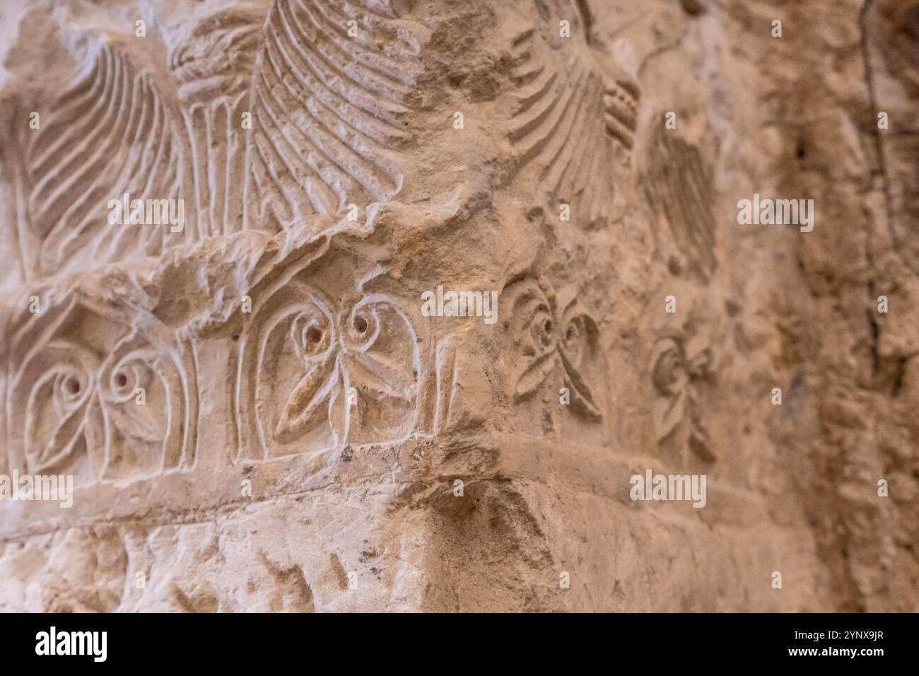 Pflanzliches Relief, Akanthusblatt, vorromanischer Tempel Santa María de Wamba, 10. Jahrhundert, Region Montes Torozos, Valladolid, Kastilien und Leon, Spanien Stockfoto