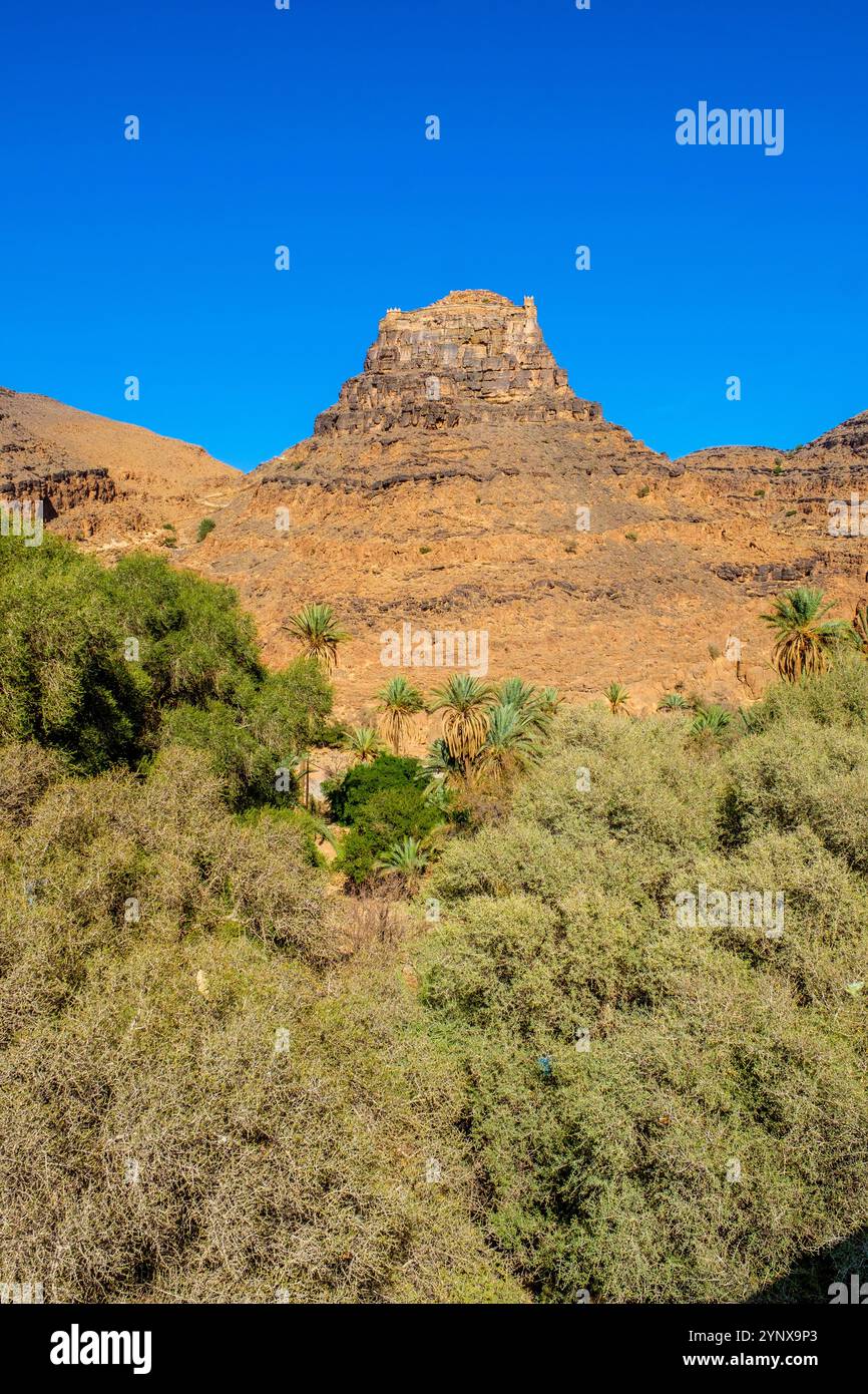 Ein Hügel Agadir ( befestigter Speicher ) in Amtoudi im antiatlas-Gebirge Marokkos Stockfoto