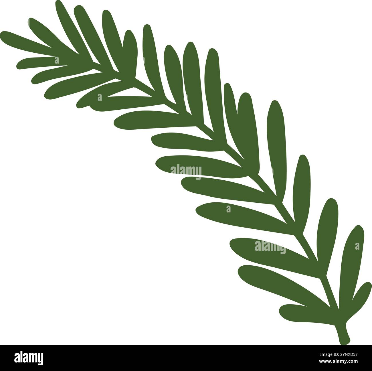 Eine grüne Blattpflanze mit langem Stiel Stock Vektor