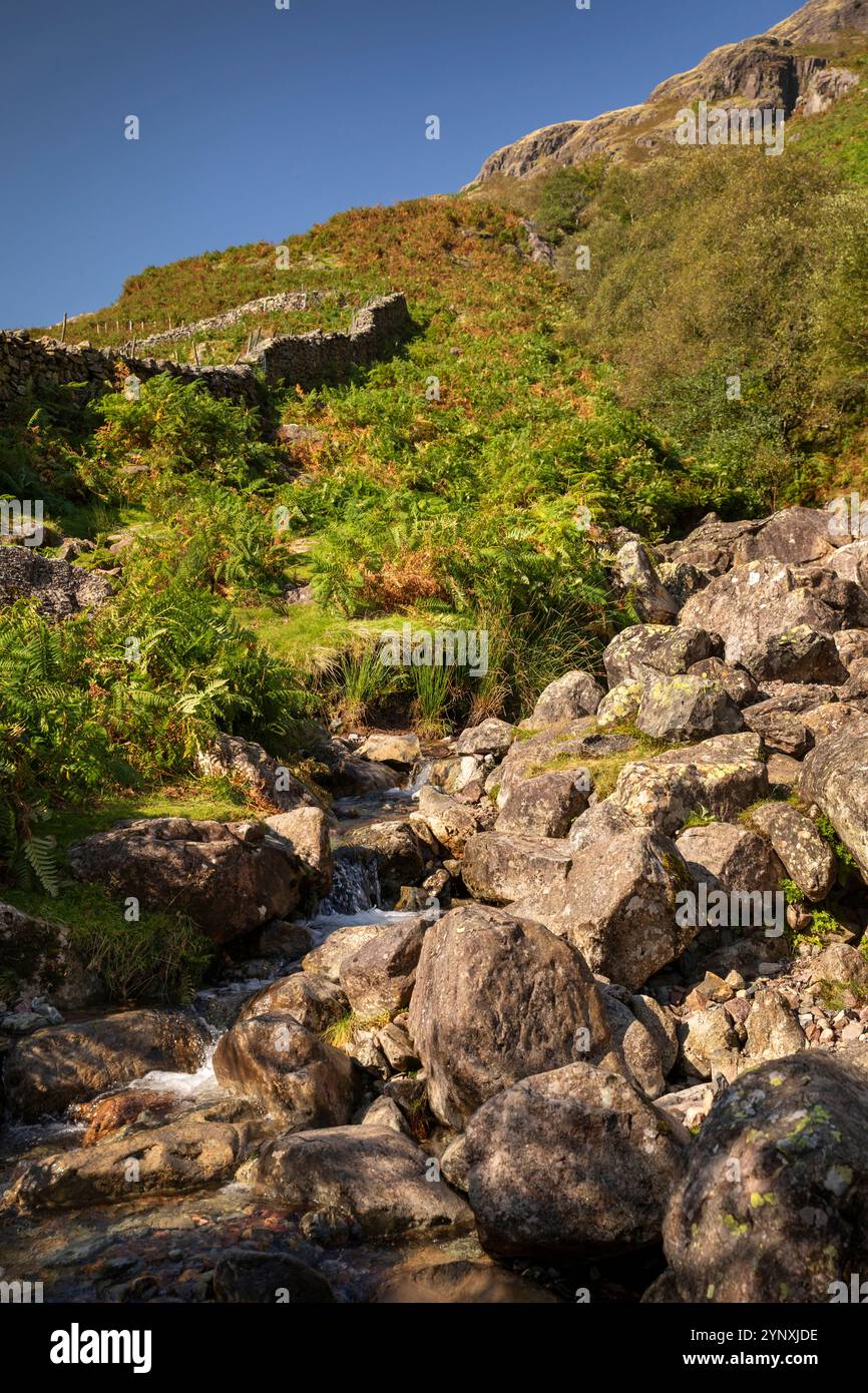 Großbritannien, England, Cumbria, Langdale, Dungeon Ghyll Force im Sommer Stockfoto