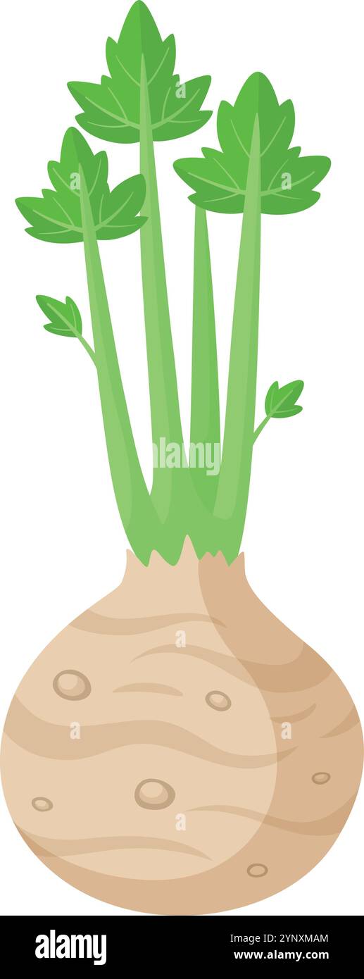 Eine kleine Pflanze mit grünen Blättern befindet sich in einer runden Vase Stock Vektor