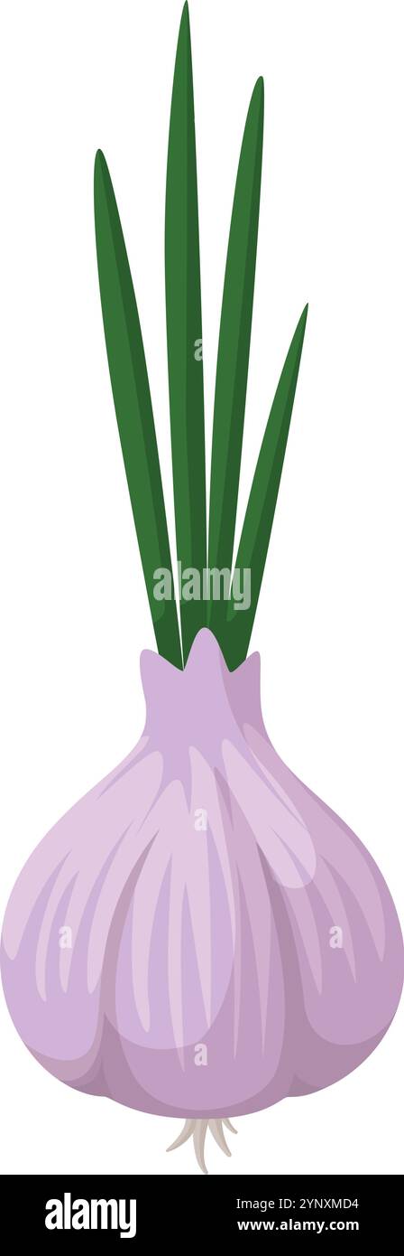 Eine cartoonische Zeichnung einer Knoblauchzwiebeln mit grünen Blättern Stock Vektor