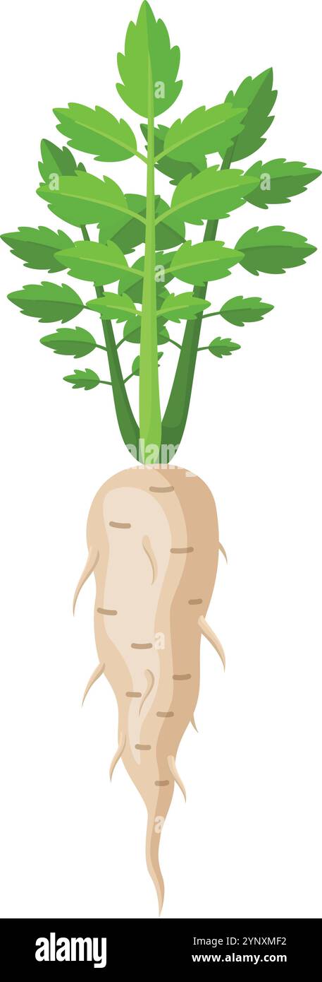 Eine Karotte wird in einer Zeichnung im Zeichentrickstil gezeigt Stock Vektor