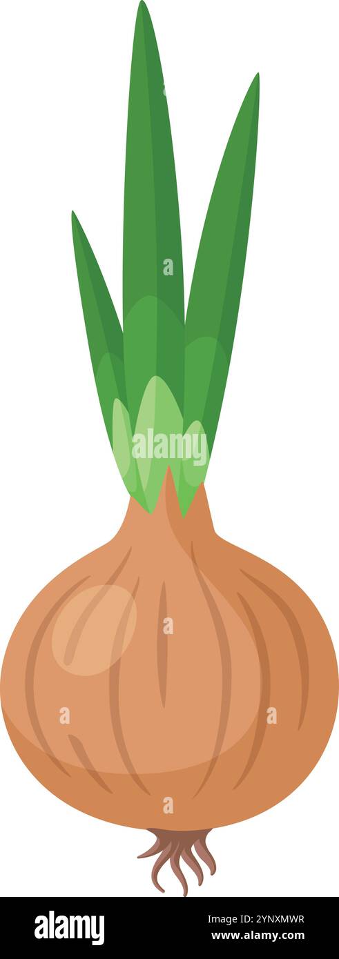 Eine cartoonische Zeichnung einer Zwiebel mit grünen Blättern Stock Vektor