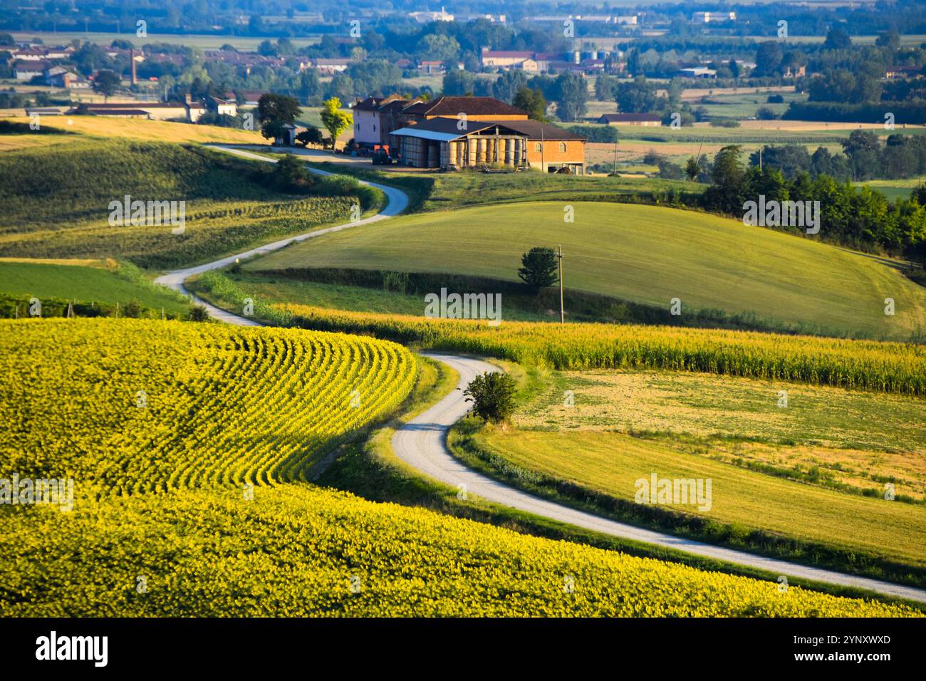 Gewundene Straße durch ländliche Landschaft, Lu e Cuccaro Monferrato, Alessandria, Piemont, Italien Stockfoto