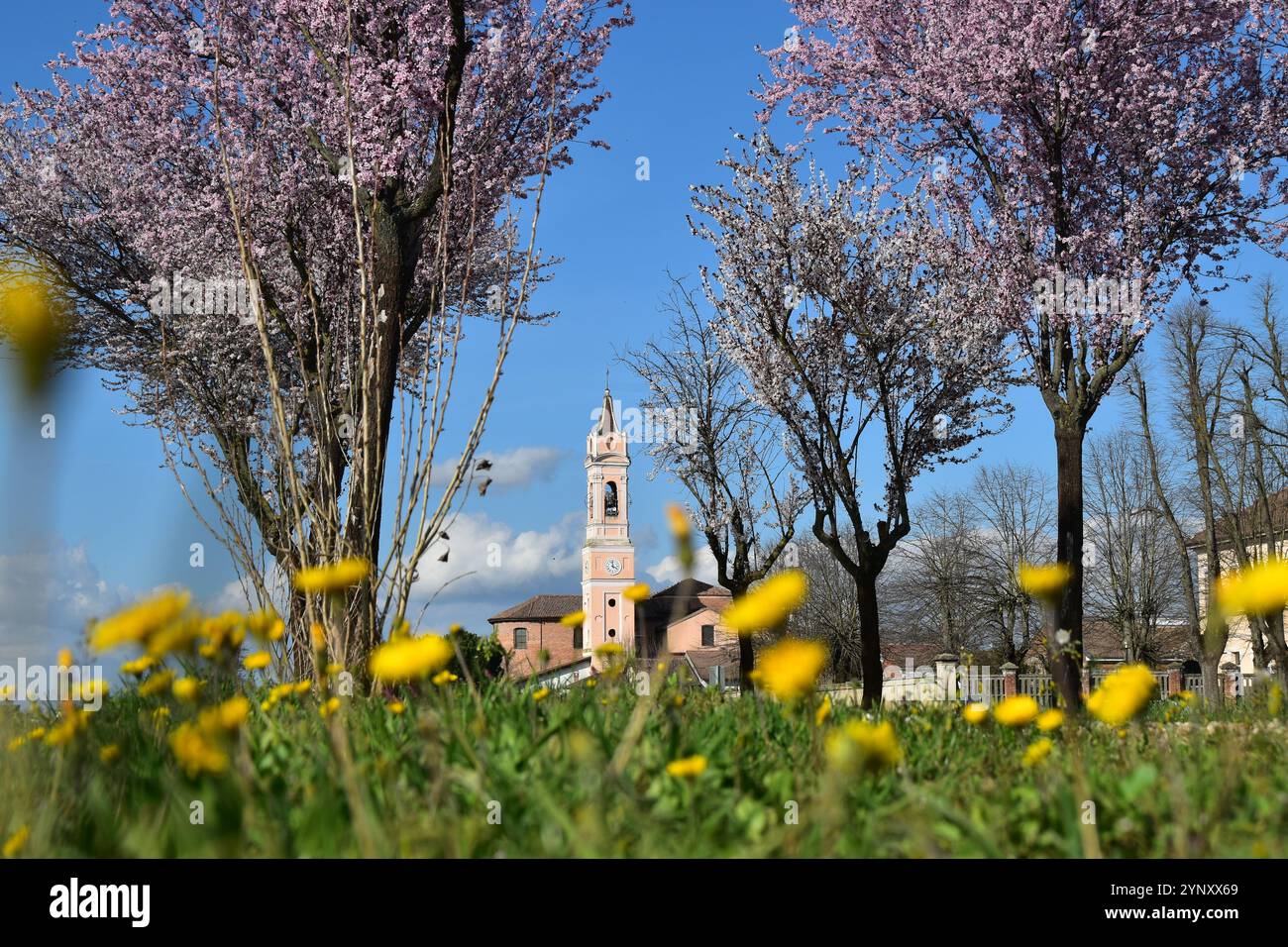 Kirche San Giuliano Nuovo durch eine Wildblumenwiese mit Bäumen, Alessandria, Piemont, Italien Stockfoto