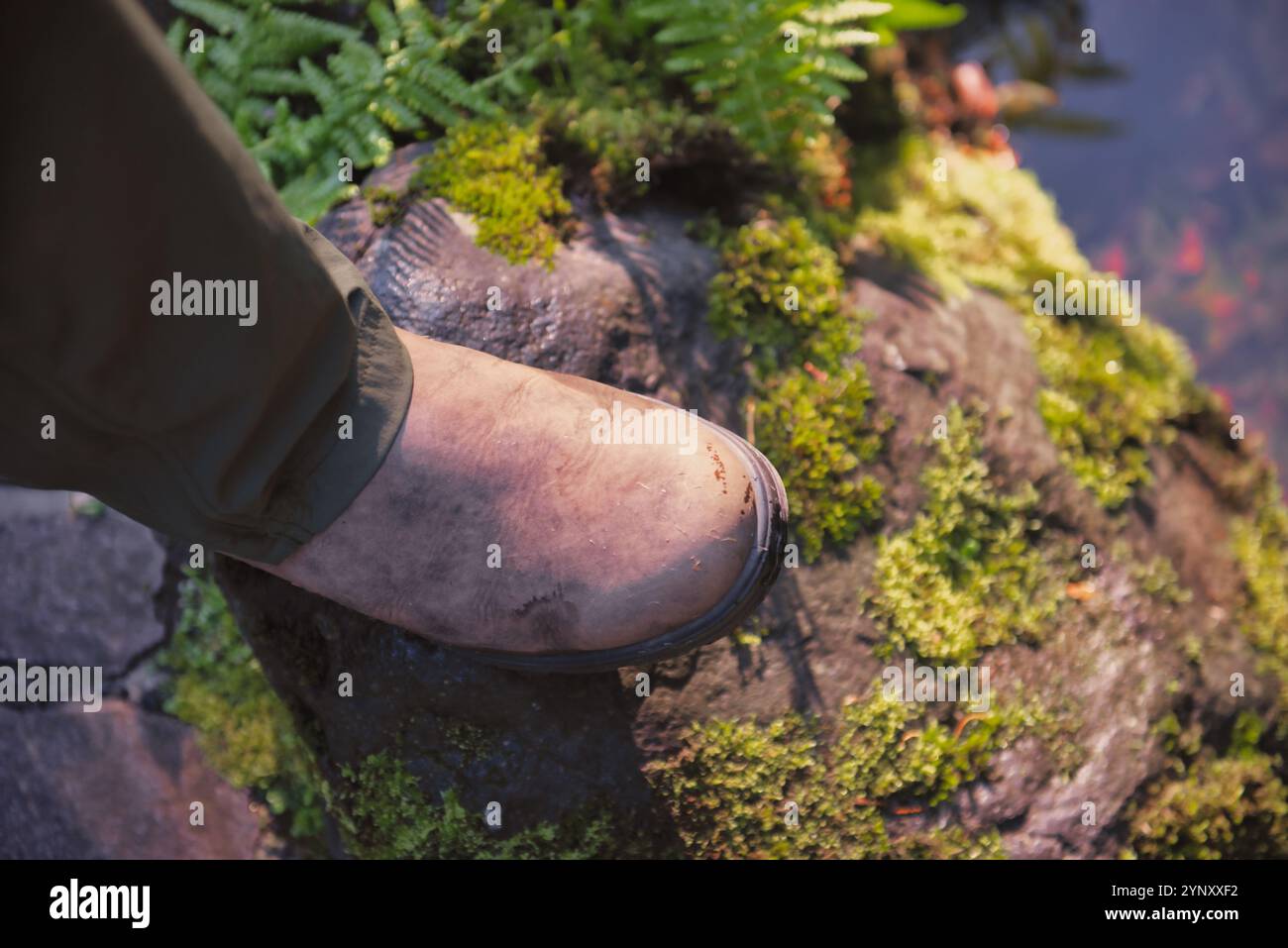 Blick von oben auf den Stiefel einer Person, der auf einem moosbedeckten Felsen an einem Bach steht, USA Stockfoto