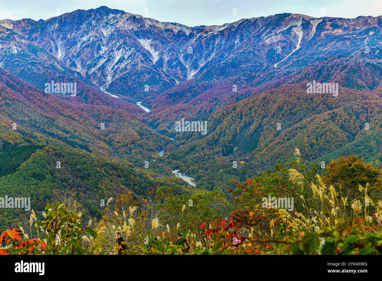 Natürliche Landschaft des Mount Hakuba Iwatake vom Mountain Resort Hakuba Village im Herbst, Nagano, Japan. Stockfoto