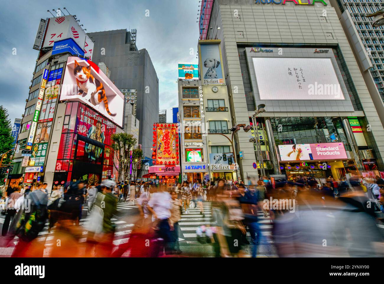 Tokio, Japan - 28. Oktober 2024: Shinjuku-Viertel mit Einkaufszentren, Elektrogerätegeschäften, Modegeschäften, Gebrauchtwaren, Restaurants, welche Stockfoto