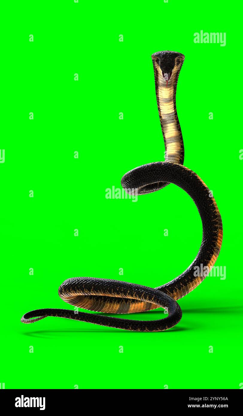 3D-Illustration der majestätischen Kobra: Eleganz und Gefahr isolieren auf grünem Hintergrund Stockfoto