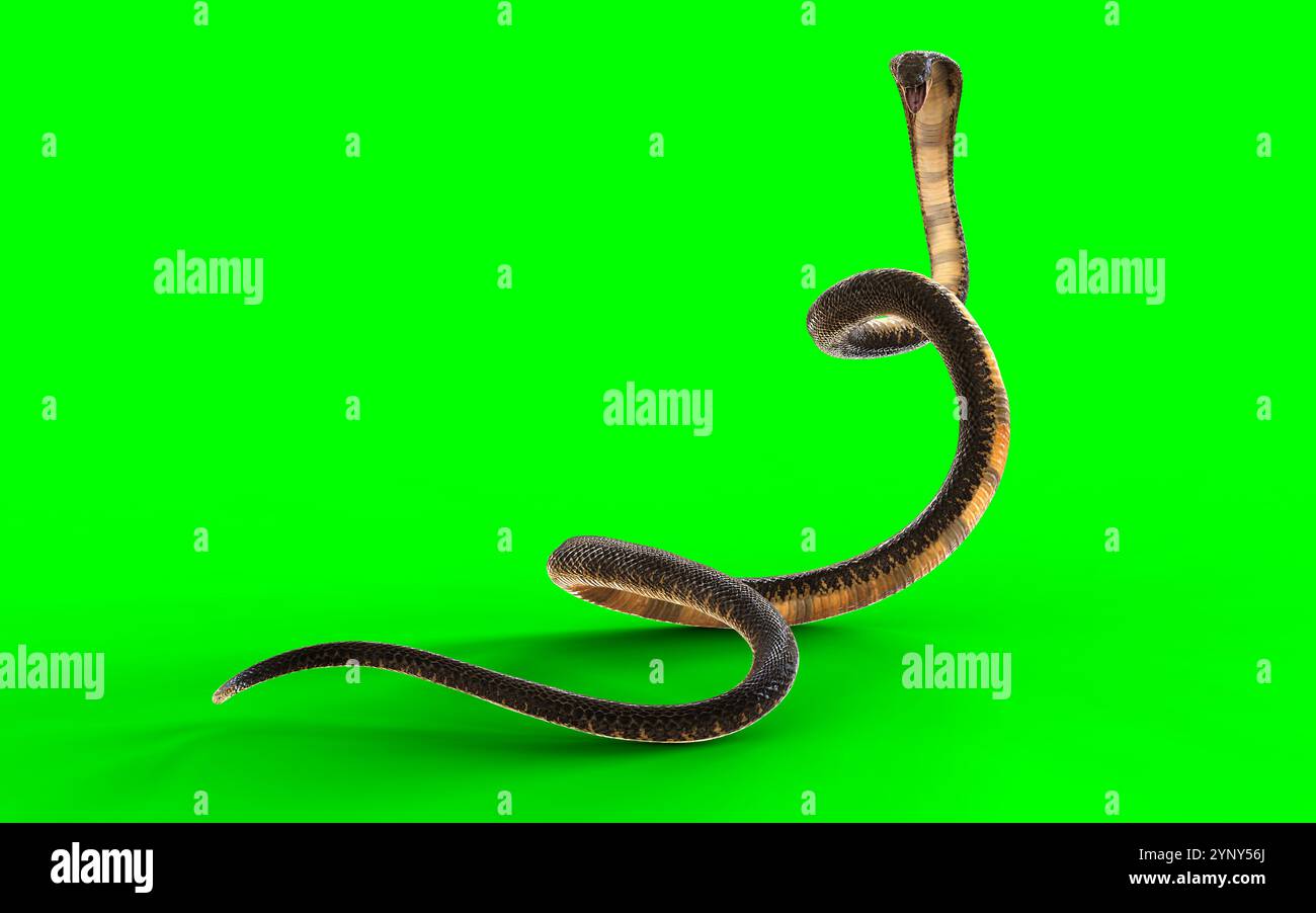3D-Illustration der majestätischen Kobra: Eleganz und Gefahr isolieren auf grünem Hintergrund Stockfoto